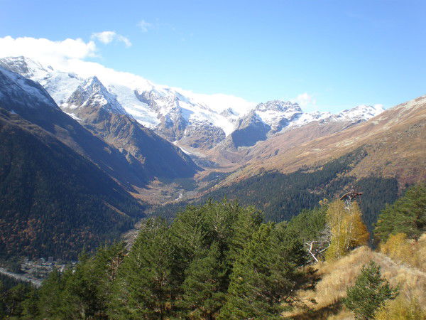 Эльмира Никифорова