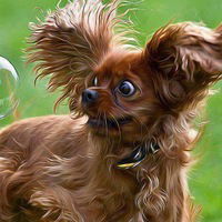 Артём Верещагин