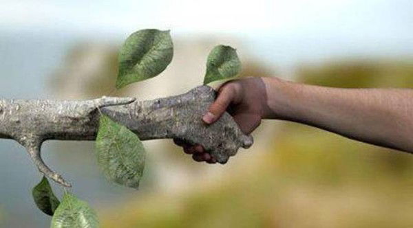 Евгений Санадзе