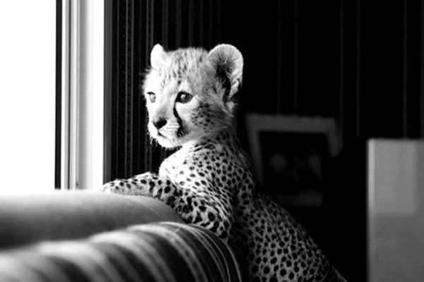 Ирина Хаптанова