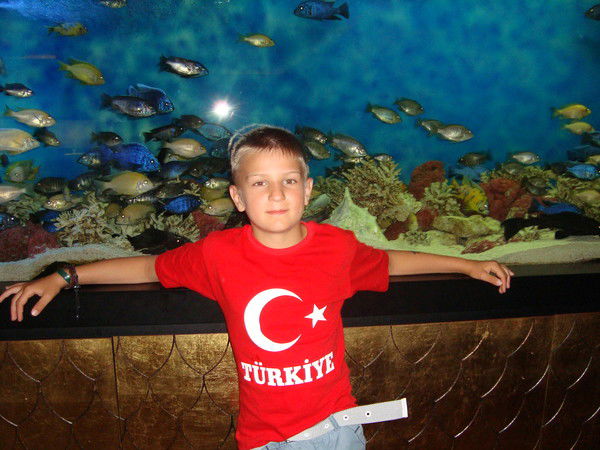 Кирилл Сухоносов