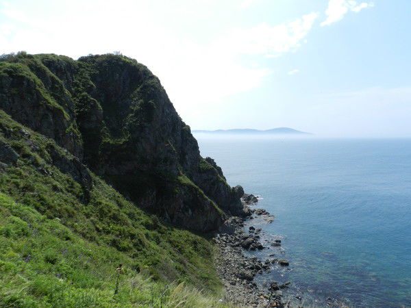 Владимир Козырев