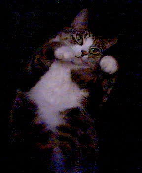 Неизвестно Неизвестно