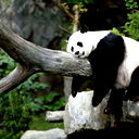 Ерлан Аубакиров