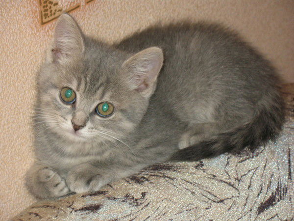 Марина Мигурская