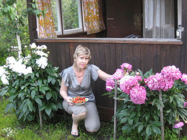 Наталья Чекурова