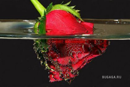 Ирина Трофимова