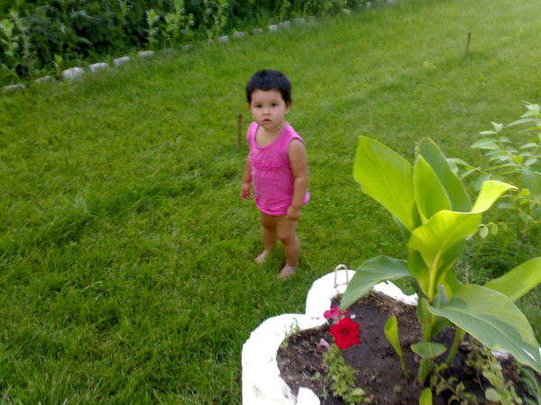 Мураджан Абдиров