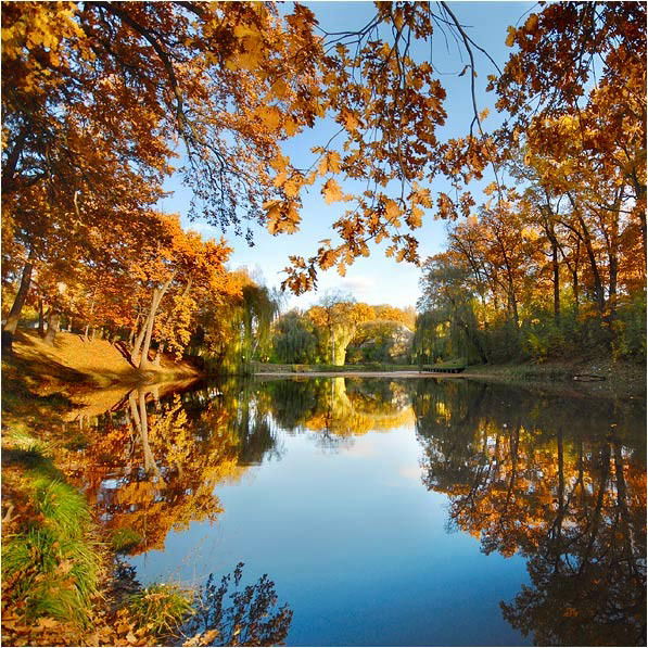 Наталья Яковлева