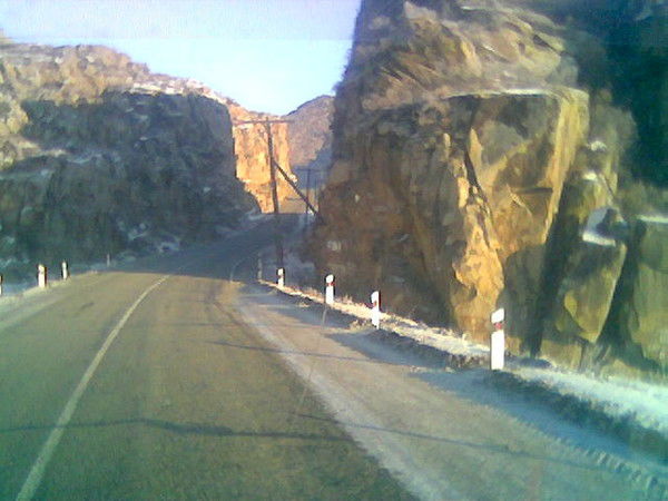 Андрей Плотников