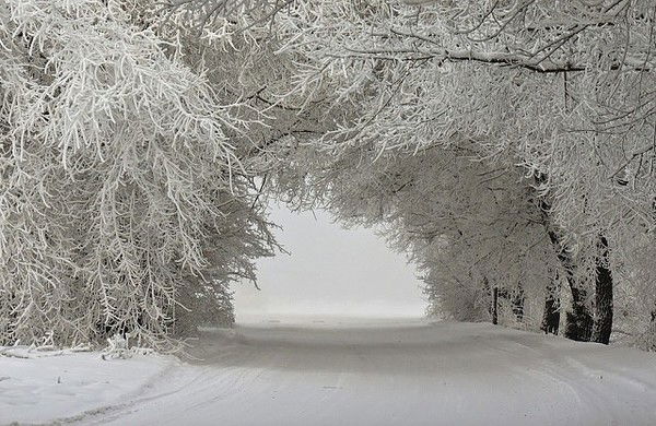 Евгений Ена