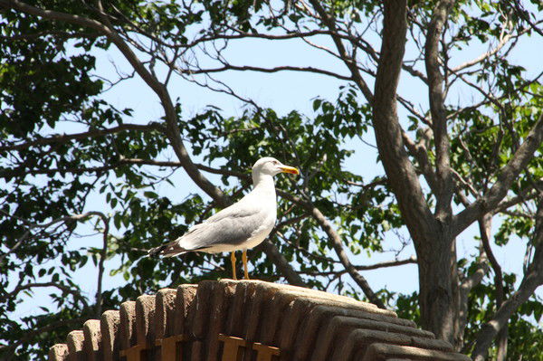 Наталья Кабацкая