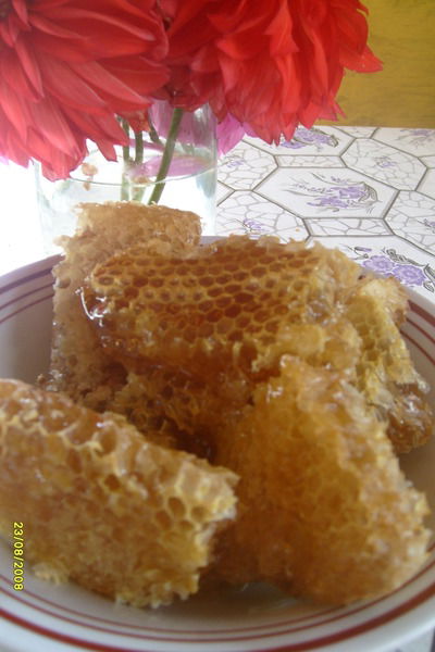 Инна Бострикова