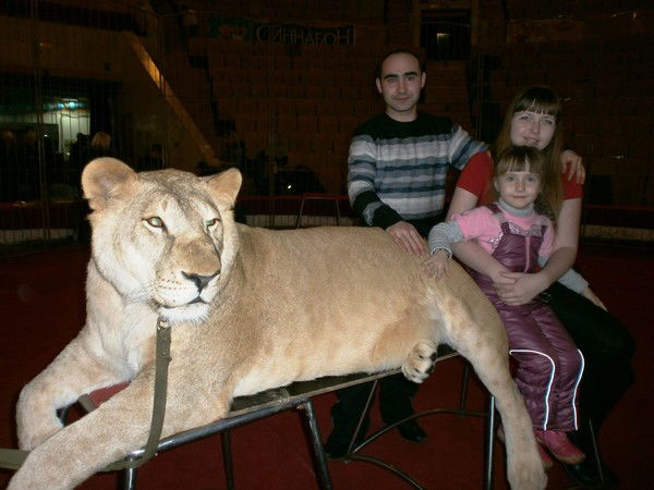 Сергей Каранда