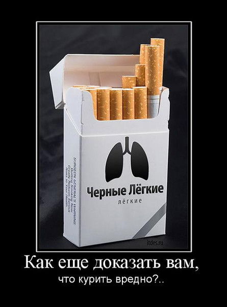 Болотбек Ногойбаев