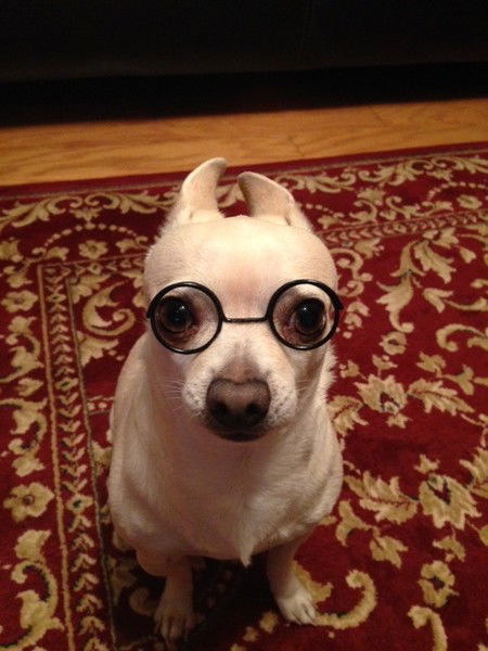 Армен Mовсесян