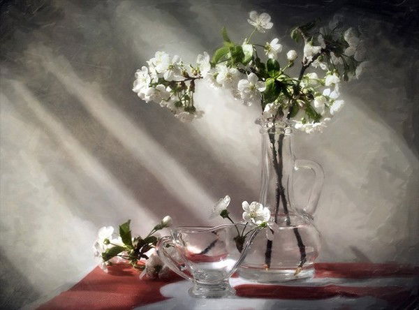 Лазаревич Елизавета