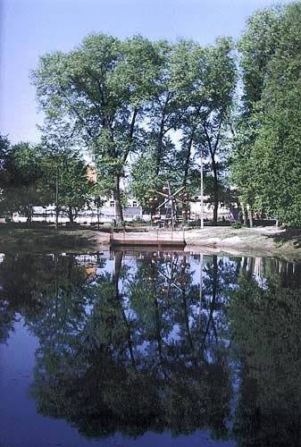 Алёна Елена