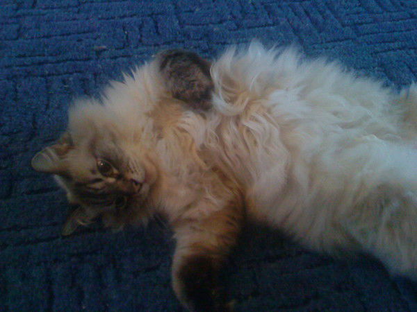 Ольга Золотарева(Пешкова)