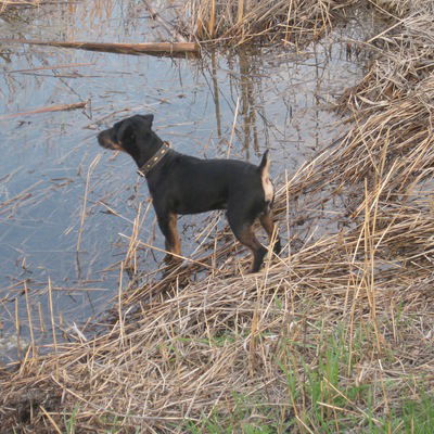 Леха Валуев