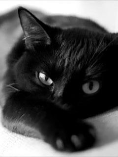 Юлия Васильева