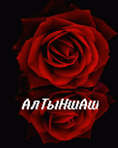 Алтыншаш Хасенова