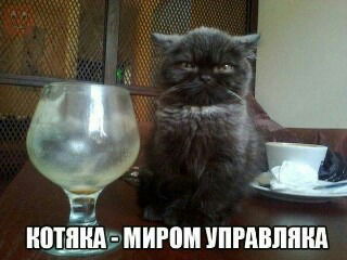 Егор Головин