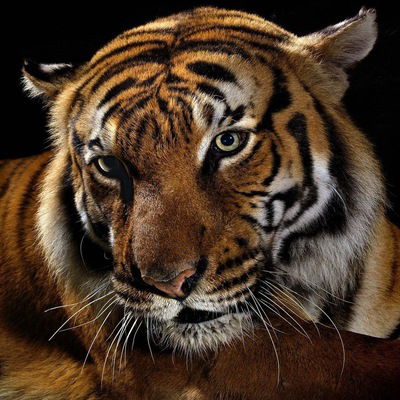 Роман Иванов