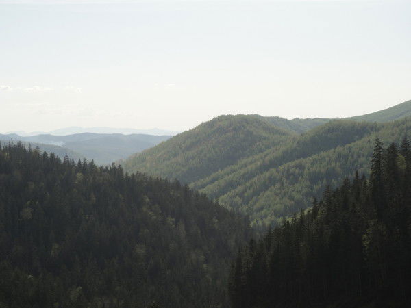 Мария Золотарева