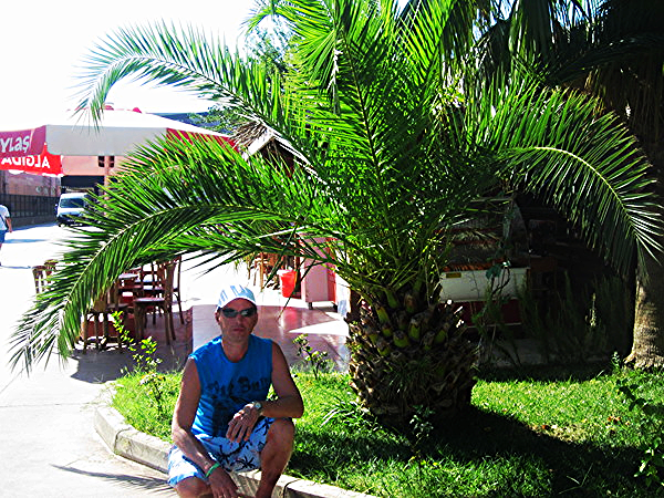 Дмитрий Зитан