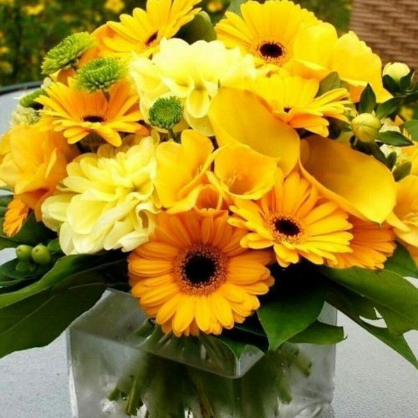 Анна Верина