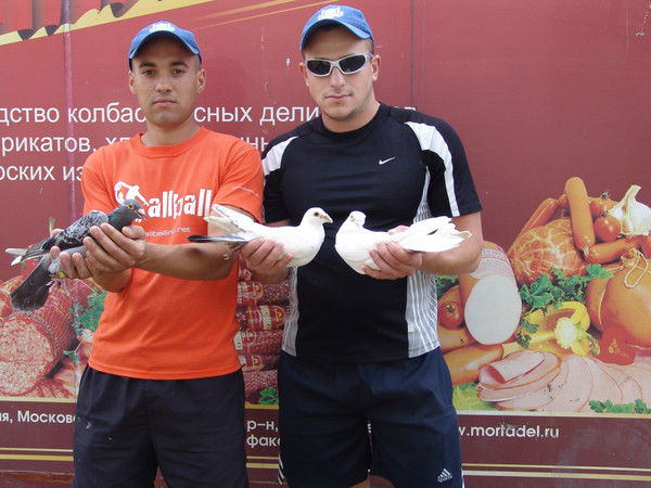 Роман Шевченко