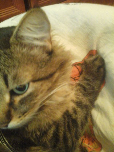 Александр Шатилов