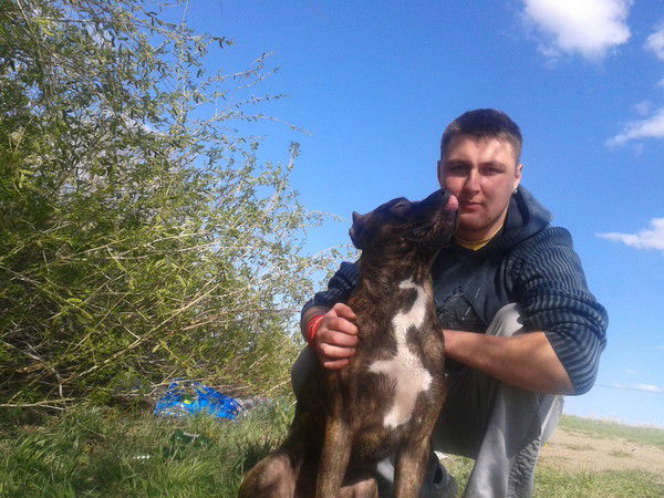 Григорий Носовец