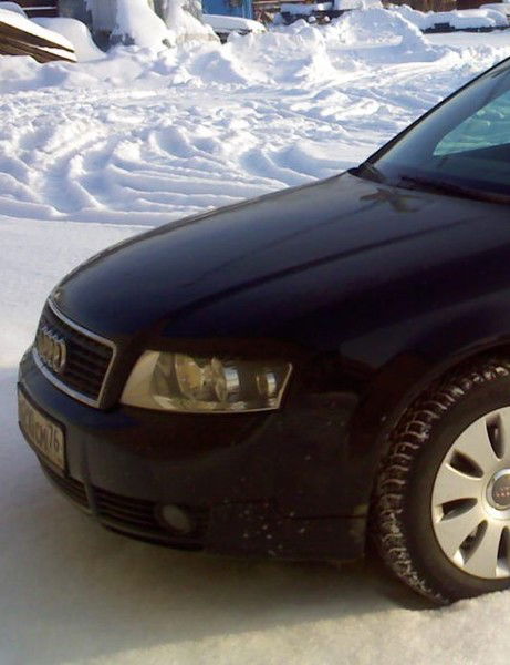 Александр Шелеметьев