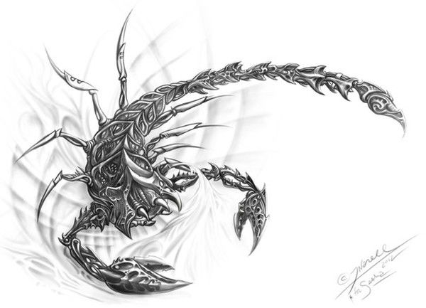 Елисей Матвеев