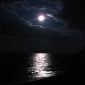 Алексей Вагапов