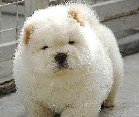 Дарига Булшекбаева