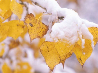 Гульназ Мамбетова