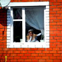 Лена Албутова