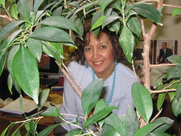 Елена Сафронова