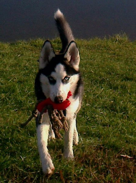 Марина Славницкая