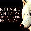 Владимир Чекорский
