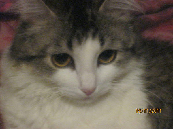 Светлана Блинова