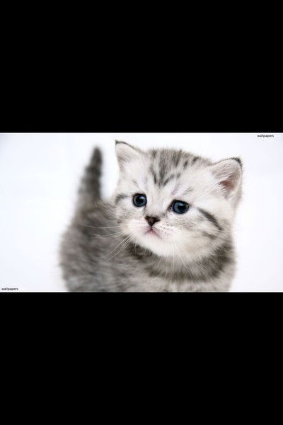 Батор Найданов