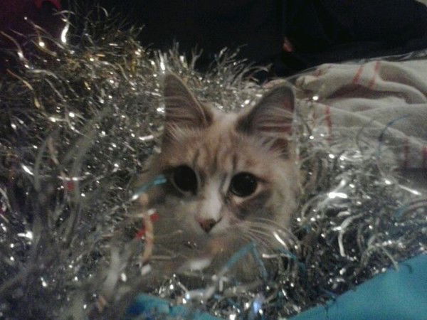 Оксана Березина (Сухорукова)