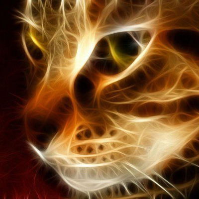 Дарья Пушкарева