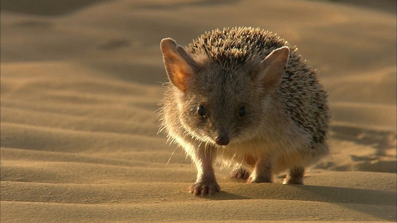 Екатерина Белова