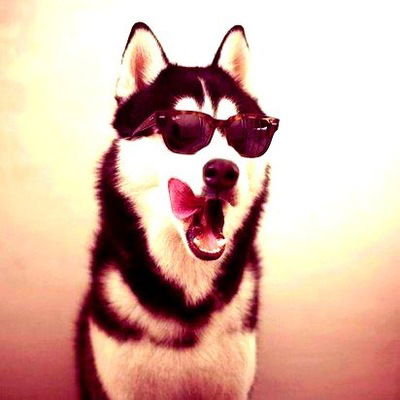 Евгений Столяров