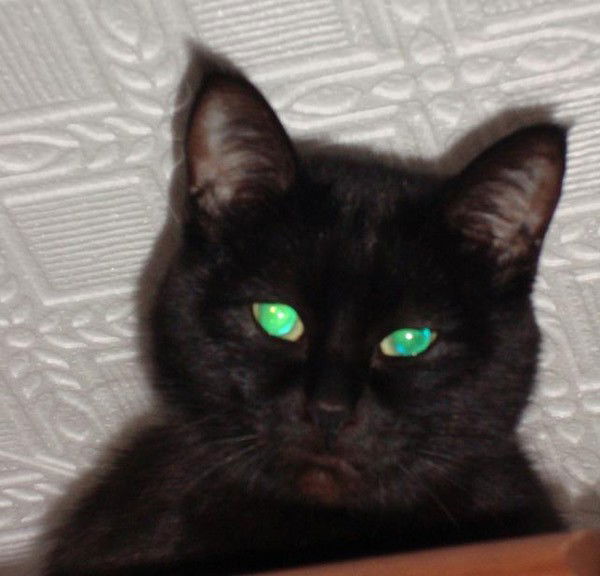 Галия Сюрбаева